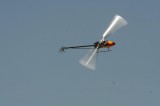 IMG 7265